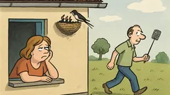 Vtip: Manželka sa zasnene pozerá na hniezdo